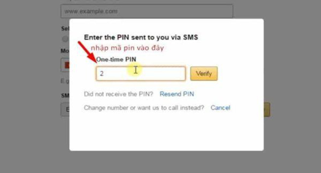 Nhập m&atilde; pin